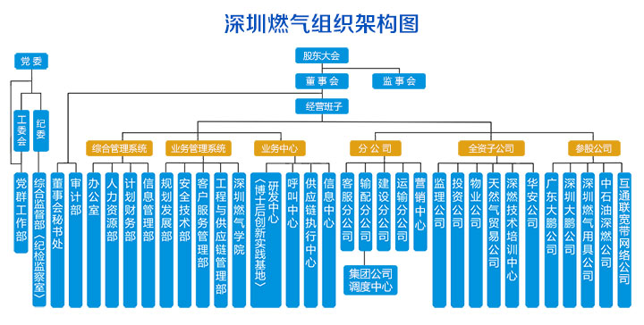 深圳市燃?xì)饧瘓F(tuán)股份有限公司(深燃公司）