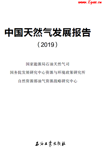 2019中國天然氣發(fā)展報(bào)告.png