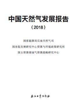 中國天然氣發(fā)展報(bào)告（2018）白皮書中英文版