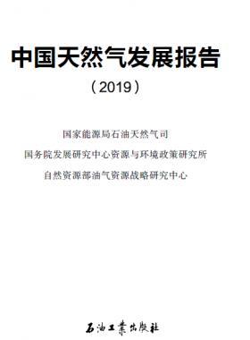 中國天然氣發(fā)展報(bào)告（2019）