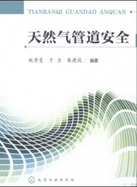 天然氣管道安全 趙秀雯,于力,柴建設(shè) 化學(xué)工業(yè)出版社