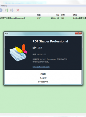 PDF Shaper Professional和諧 12.0 綠色便攜版