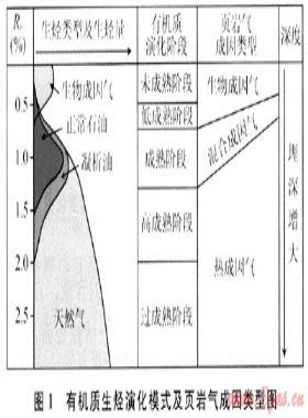 地質(zhì)異常找礦理論在頁(yè)巖氣勘探中的應(yīng)用