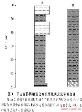 我國富含有機(jī)質(zhì)泥頁巖發(fā)育特點(diǎn)與頁巖氣戰(zhàn)略選區(qū)