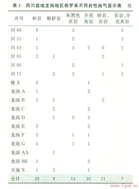 川中地區(qū)侏羅系適合頁巖油氣藏開采的地質(zhì)依據(jù)