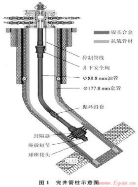 普光高酸性氣田井簡管材及完井方案優(yōu)選