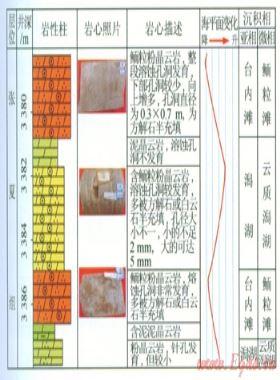 鄂爾多斯盆地中寒武統(tǒng)張夏組沉積相特征及巖相古地理分析