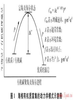 中國海相烴源巖研究進展及面臨的挑戰(zhàn)