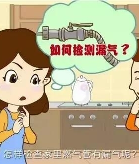 如何檢查燃?xì)庑孤? /></a> <span id=