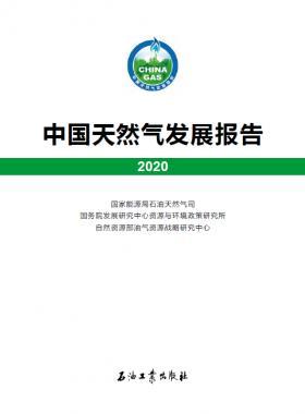 2020中國天然氣發(fā)展報(bào)告（含2017、2018、2019、2020）