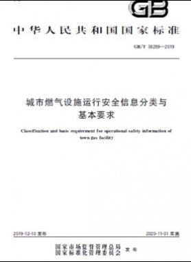 城市燃氣設(shè)施運行安全信息分類與基本要求國標∕T 38289-2019