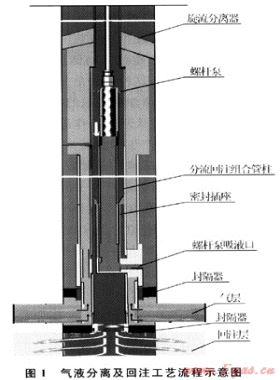 井下氣液分離及同井回注技術(shù)的應(yīng)用