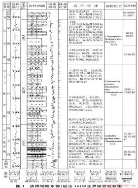 濟(jì)陽(yáng)坳陷中生界烴源巖生烴演化